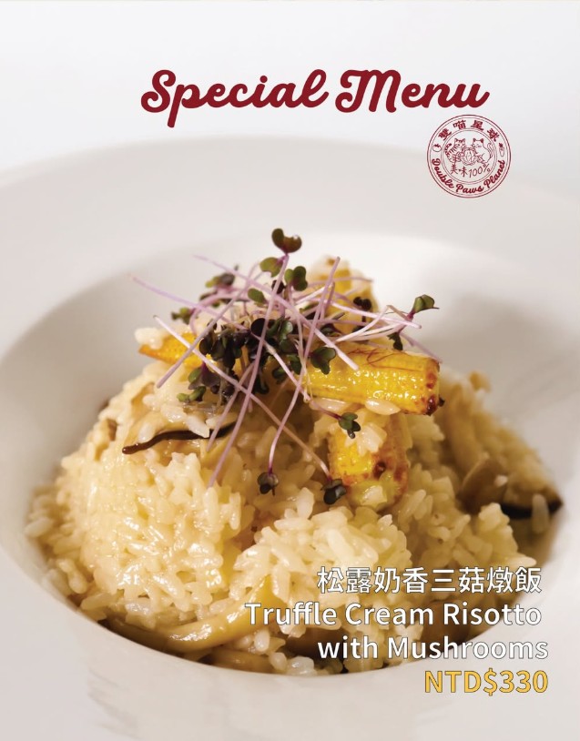 雙喵星球庇護工場｜異國蔬食與精品咖啡的純粹對話