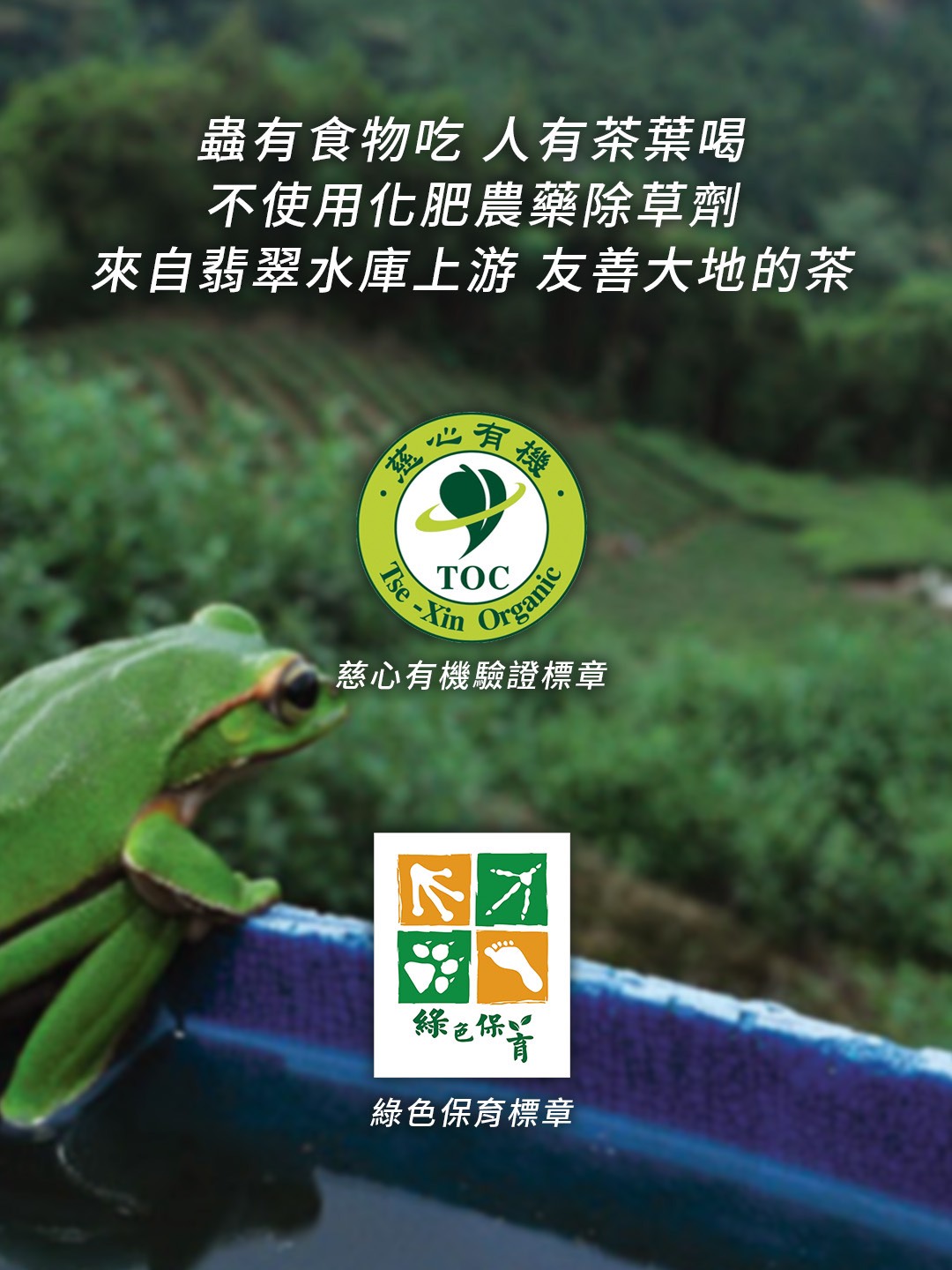 企業內部環境或食品以及用品