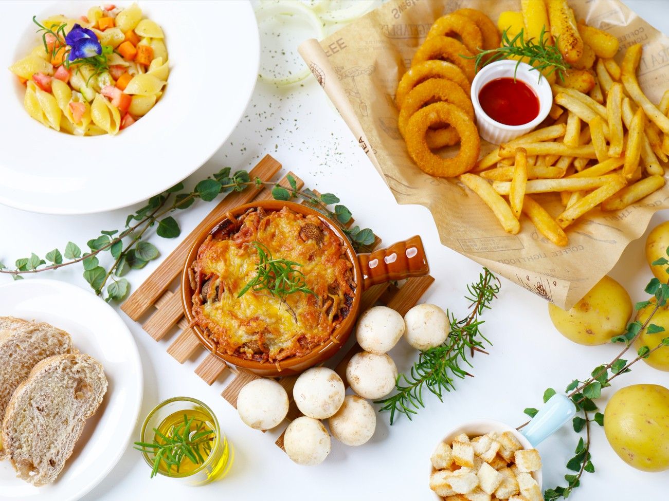 雙喵星球庇護工場 雙喵星球蔬食日常